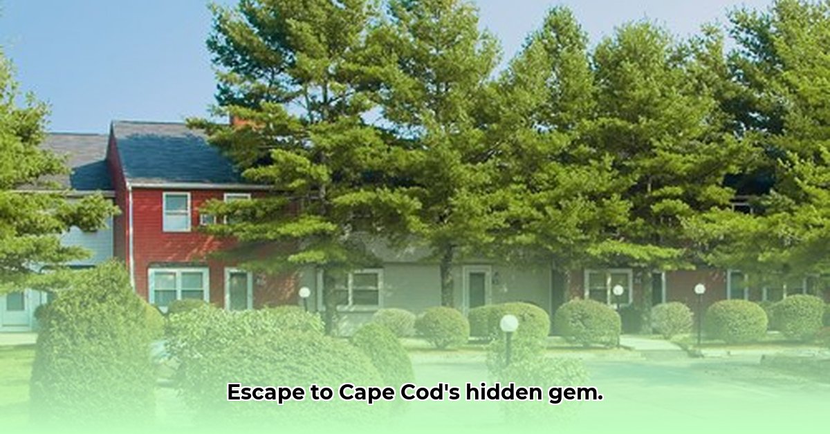 briarwood-resort-falmouth